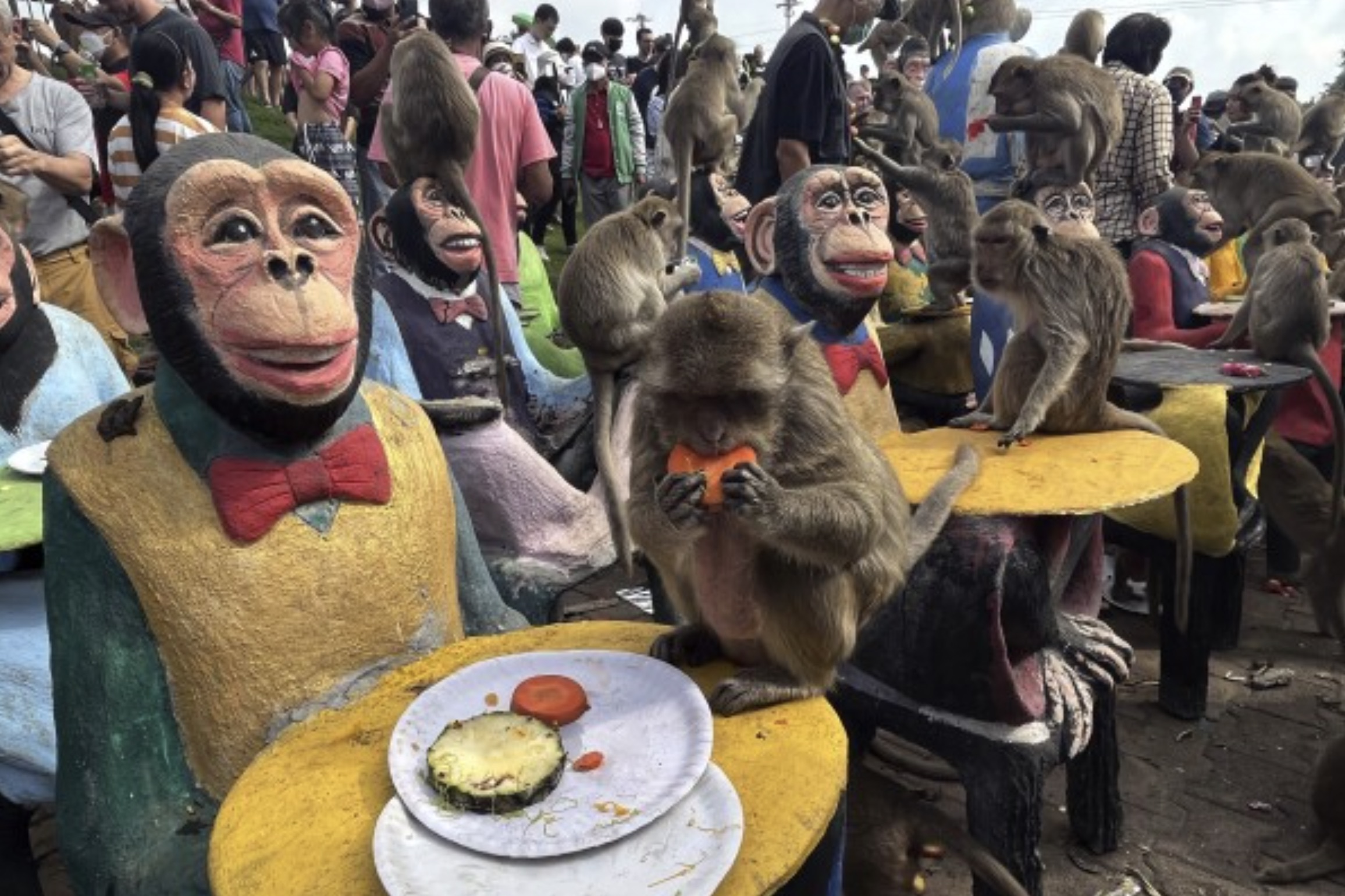 30 Pics Showing The Unstoppable Monkeyfication of Our Cities 